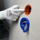 SPECIALIST+ Gipsplaat Randfrees Set 68 mm met Cobalt Gatzaag SPECIALIST+ Gipsplaat Randfrees Set 68 mm – Ontbramer & Ruimer voor Inbouwdozen – Inclusief Bi-Metaal Cobalt Gatzaag 68 mm met Adapter